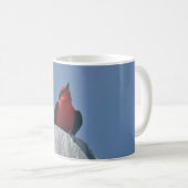 Vermillion Flycatcher gegen Kaffee-Tasse des Kaffeetasse (VorderseiteRechts)