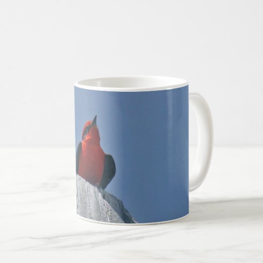 Vermillion Flycatcher gegen Kaffee-Tasse des Kaffeetasse (VorderseiteRechts)