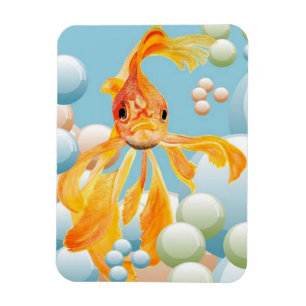 Vermillion Goldfish in Pastelblase Wasser Magnet