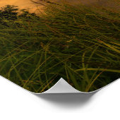 Vermillion Lakes Sunset Poster (Ecke)