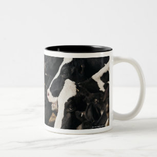 Vermindernde Perspektive der weiden lassenden Zweifarbige Tasse