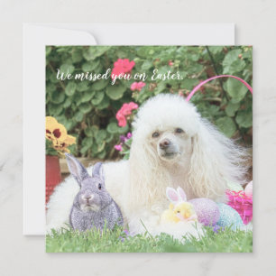 Vermisse dich an Ostern Pudel Hund Flachkarte Karte