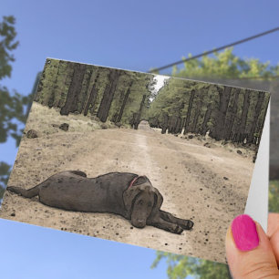 Vermisse dich Chocolate Lab auf Waldweg Vorlage