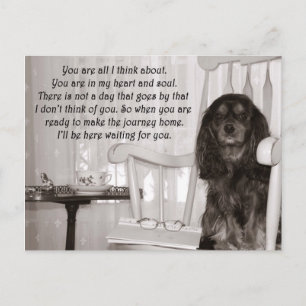 Vermisse Dich: Eine Cavalier King Charles Spaniel Postkarte