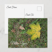 Vermisse dich, einzelnes Herbstblatt  Postkarte (Vorne/Hinten)