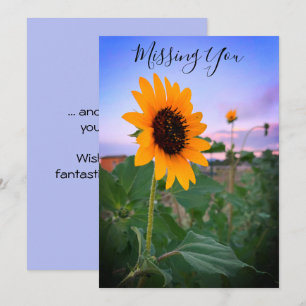 Vermisse dich Sonnenblume bei Dämmerung Foto indiv Karte