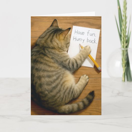 Vermisse getigerte Katze mit Notiz Karte (Vorderseite)