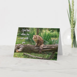 Vermisse Katzen-Foto-Klappschaltkarte Karte