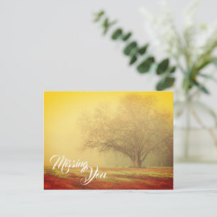 Vermisse Landschaftspostkarte Postkarte