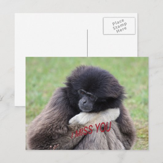 vermissen postkarte (Vorne/Hinten)