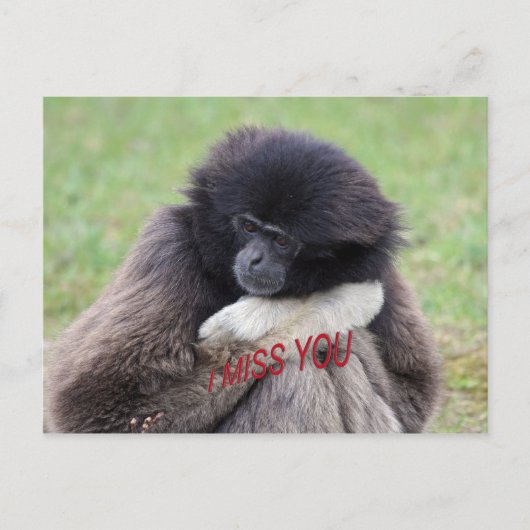 vermissen postkarte (Vorderseite)