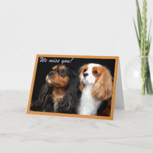 Vermissen Sie Cavalier King Charles Spaniel Grußka Karte