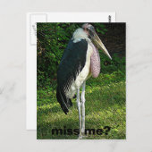 Vermissen Sie mich? Postkarte (Vorne/Hinten)