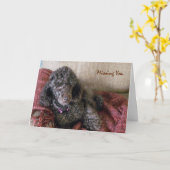 Vermisst, Betty, das Brown Poodle auf dem Blanket Karte (Gelbe Blume)
