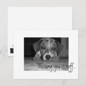 vermisst bist du ruff, Vermisst bist du ruff... Postkarte (Vorne/Hinten)