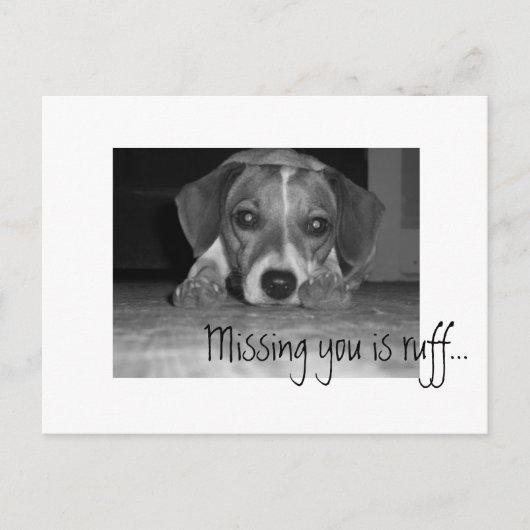 vermisst bist du ruff, Vermisst bist du ruff... Postkarte (Vorderseite)