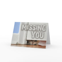 Vermisst, dass du Kitty pinkst