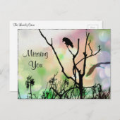 Vermisst, die einsame Kruge Postkarte (Vorne/Hinten)