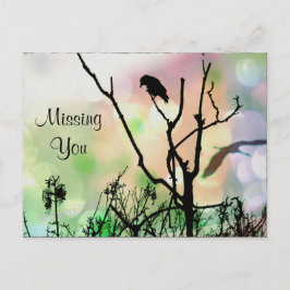 Vermisst, die einsame Kruge Postkarte