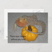 Vermisst, du Bartdrache Postkarte (Vorne/Hinten)