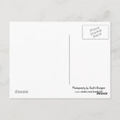 Vermisst, du Bartdrache Postkarte (Rückseite)