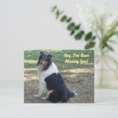 Vermisst du Collie! Postkarte (Stehend Vorderseite)