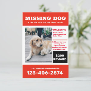 Vermisst-Hund-Foto-Werbeplakat Einladung