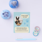 Vermisst Hund Modernes Blue Foto Poster Flyer (Einzeln)