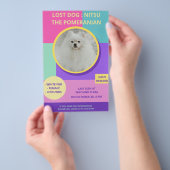 Vermisst Hund Modernes farbiges Foto Poster Flyer (Handgriff)