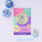 Vermisst Hund Modernes farbiges Foto Poster Flyer (Einzeln)
