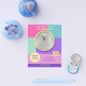 Vermisst Hund Modernes farbiges Foto Poster Flyer (Einzeln)