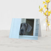 Vermisst kardieren Sie Karte (Gelbe Blume)