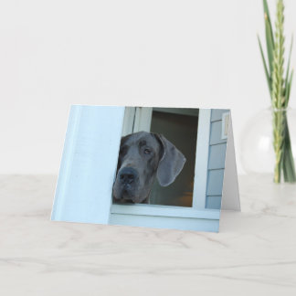 Vermisst kardieren Sie Karte