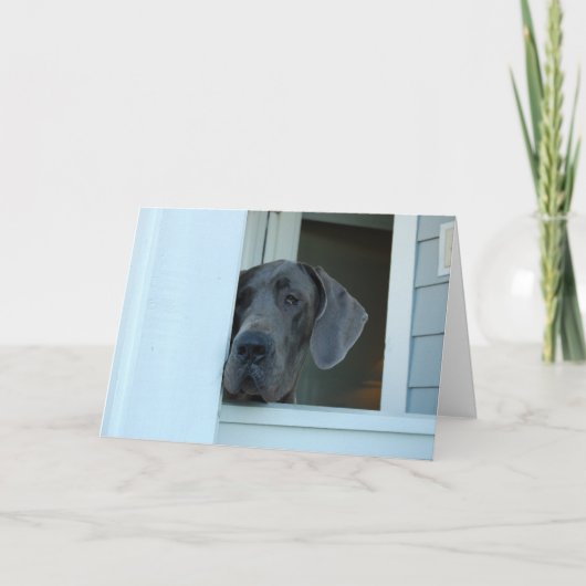 Vermisst kardieren Sie Karte (Vorderseite)