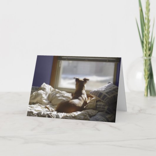 Vermisst Karte (Vorderseite)