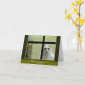 Vermisst - Katzenfenster Karte (Gelbe Blume)