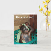 Vermisst Küssen Sie sich und bilden Sie sich auf Karte (Gelbe Blume)