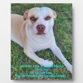 Vermisst mein Welpe Fotoplatte (Vorderseite)