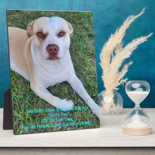 Vermisst mein Welpe Fotoplatte (Seite)