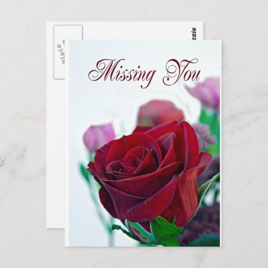 Vermisst mit einer klassischen rote Rose Postkarte (Vorne/Hinten)