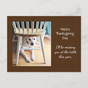 Vermisst Niedlicher weißer Hund, braun Erntedank Postkarte