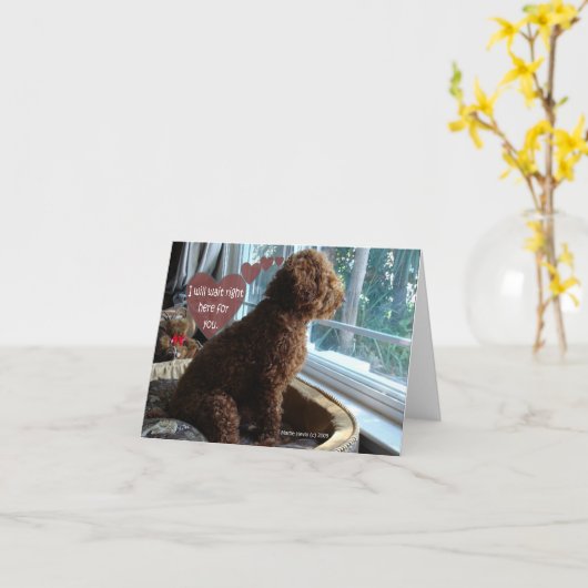 Vermisst - Poodle - Karte (Gelbe Blume)