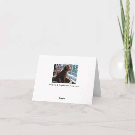 Vermisst - Poodle - Karte (Rückseite)