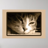 Vermisst Poster (Vorne)