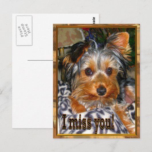 Vermisst Postkarte (Vorne/Hinten)