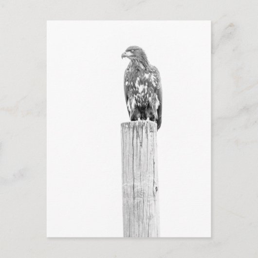 Vermisst Postkarte (Vorderseite)