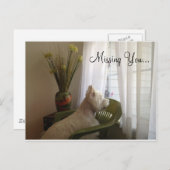 Vermisst... Postkarte (Vorne/Hinten)