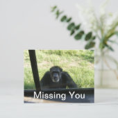 Vermisst Postkarte (Stehend Vorderseite)