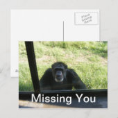 Vermisst Postkarte (Vorne/Hinten)