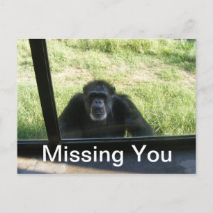 Vermisst Postkarte